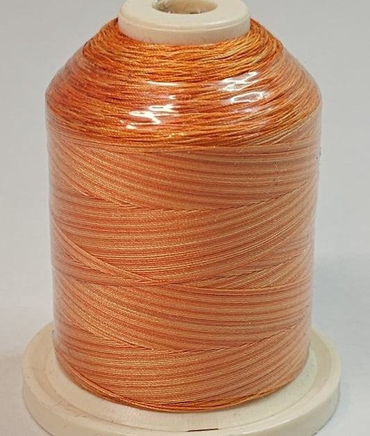 Signature Variegated - 077 Peachy Tones