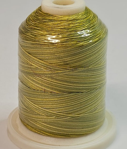 Signature Variegated - 150 Sun Lime Splash