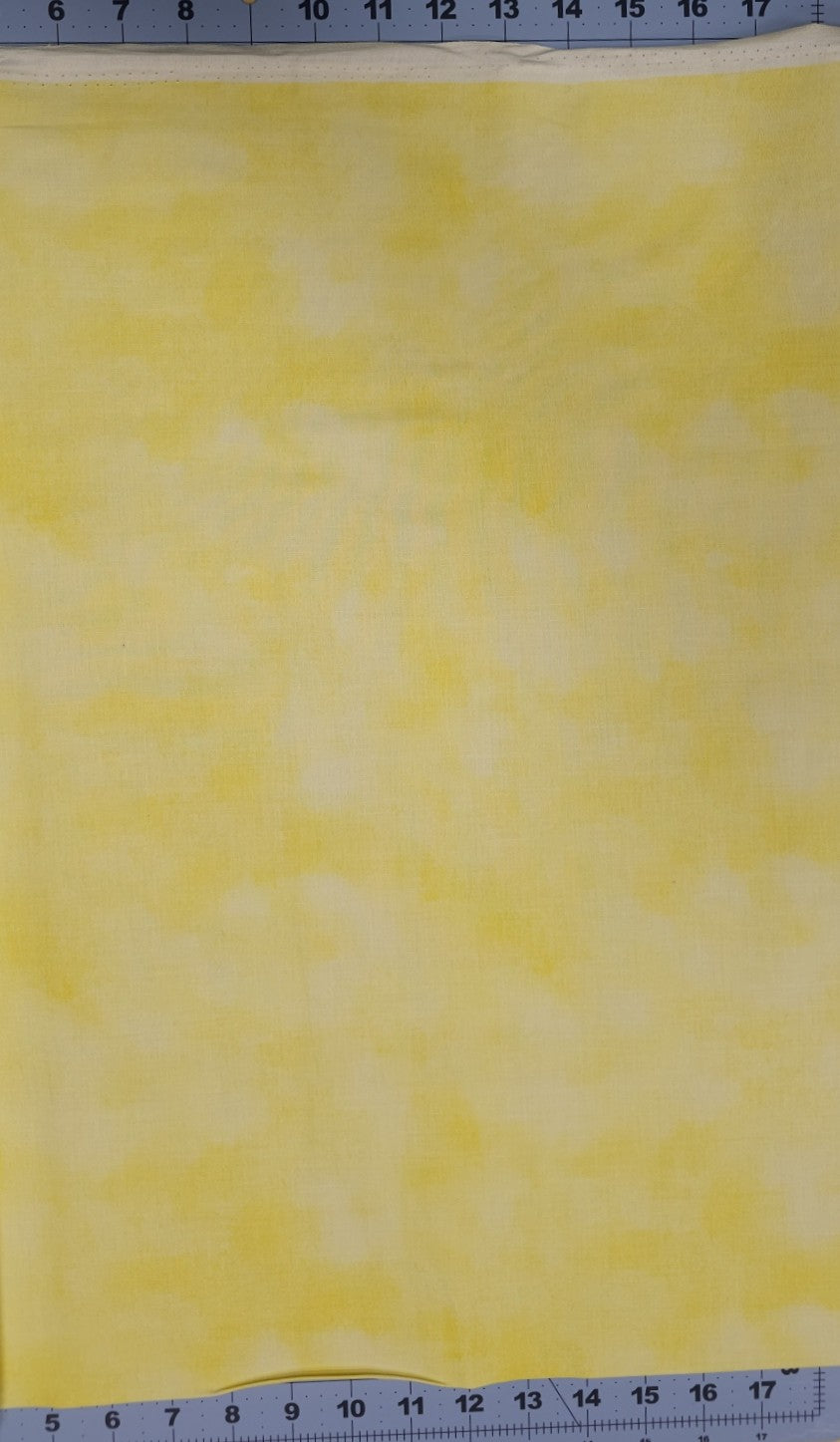 Essential Washart by Wilmington Prints 39080 500